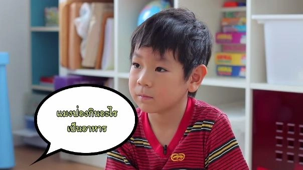 ขุมทรัพย์ราชาแมงป่อง