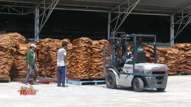 ปัญหาราคายางพาราตกต่ำ