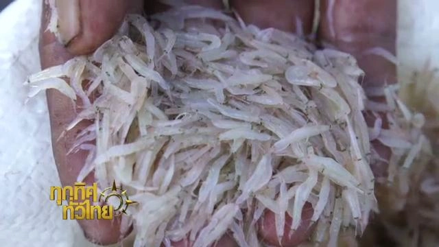 ออกอากาศ 11 ม.ค. 59