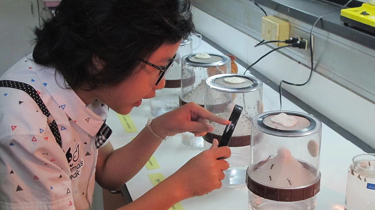 แมลงดูดเลือด