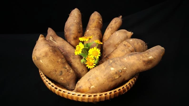 บัวหิมะ