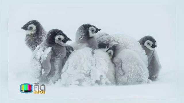 ประเด็นข่าว (14 ม.ค. 59)