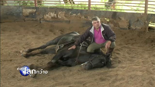 โลก 360 องศา ตอน  คาวบอยคนสุดท้ายแห่งทัสคานี