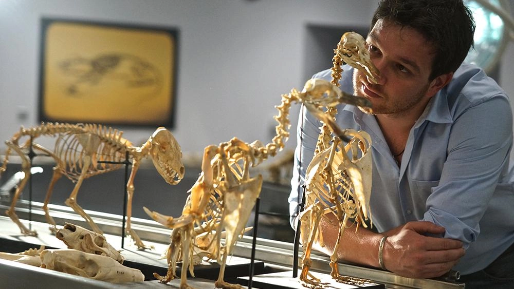 ความลับของกระดูก  ตอน  อวัยวะสุดอัศจรรย์