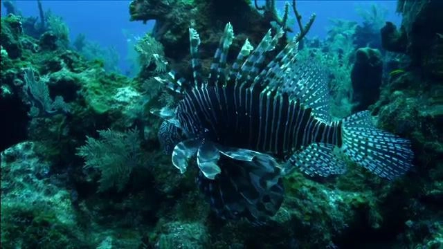 มิติโลกหลังเที่ยงคืน