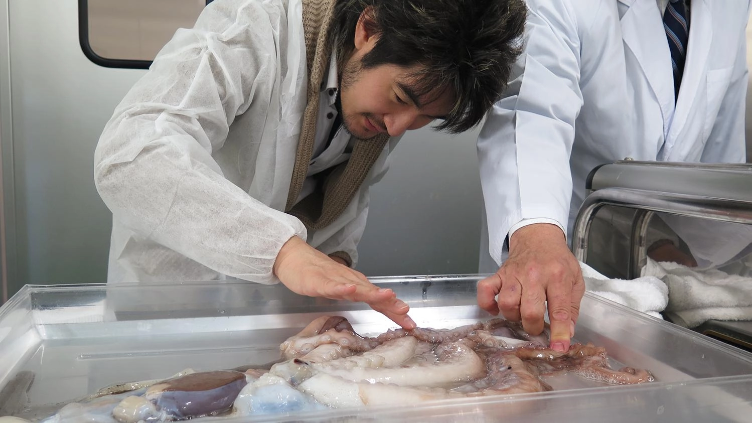 ปลา 5 ปี สดเหมือนเพิ่งขึ้นจากทะเล