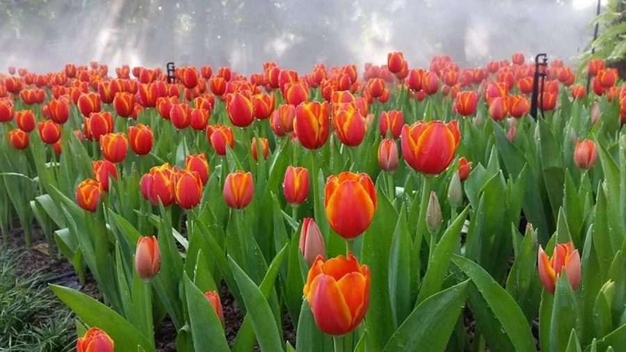 ออกอากาศ 15 ม.ค. 59