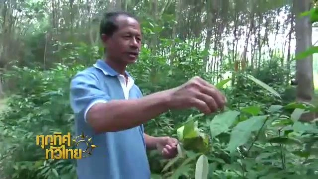 ออกอากาศ 13 ม.ค. 59