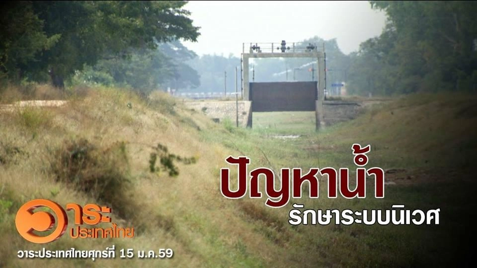 ปัญหาน้ำรักษาระบบนิเวศ