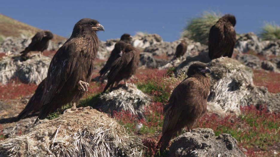 ตามติดชีวิตมหัศจรรย์ ตอน บ้าน
