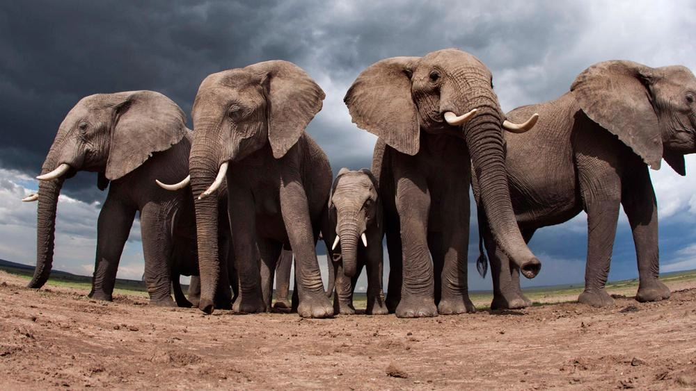 ตามติดชีวิตมหัศจรรย์ ตอน พลานุภาพ