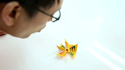 กังหันหลากสี