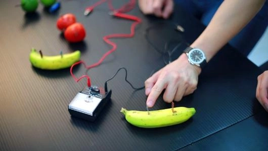 พลังไฟฟ้าจากผลไม้