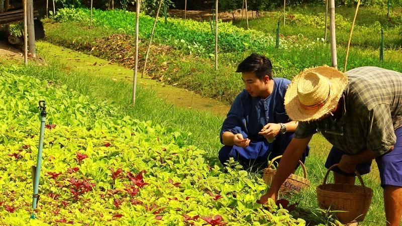 สวนสร้างสุข สวนลุงเขียด จ.นครปฐม