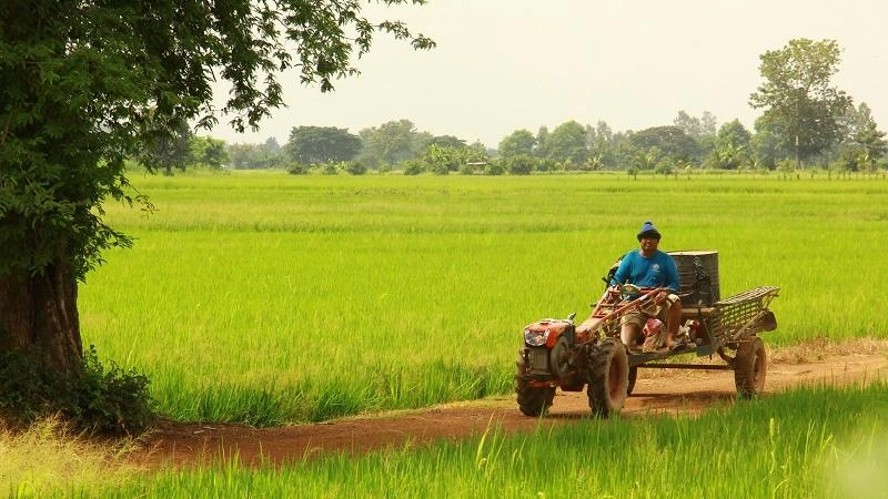 วิถีถิ่นงดงาม บ้านคุกพัฒนา จ.สุโขทัย