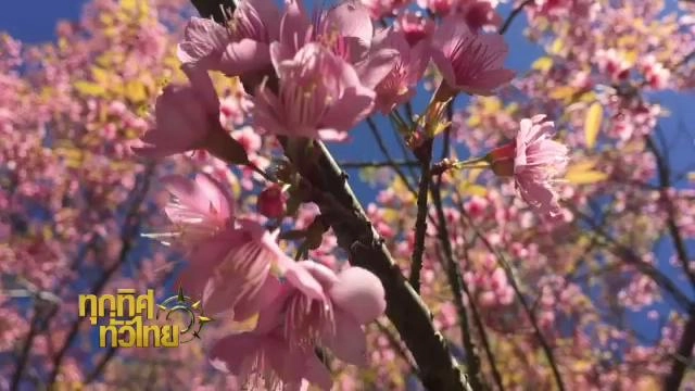 ออกอากาศ 20 ม.ค. 59