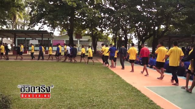 ความหวังหลังกำแพง