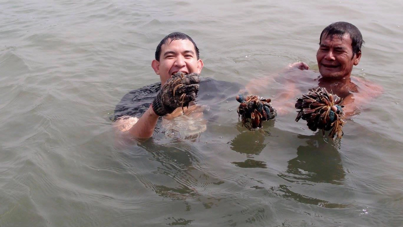 หอยปากเป็ด