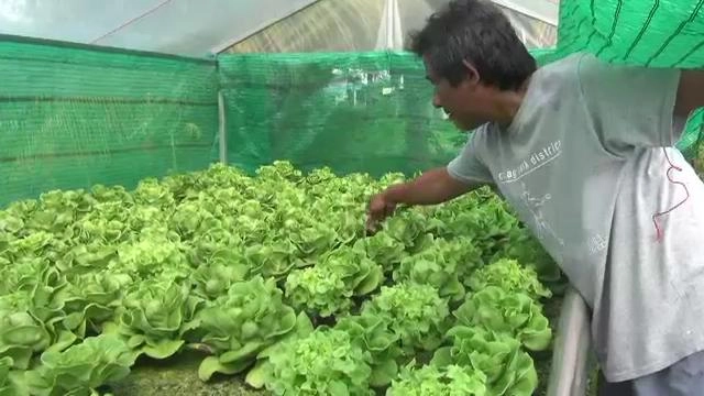 ประเด็นข่าว (19 ม.ค. 59)