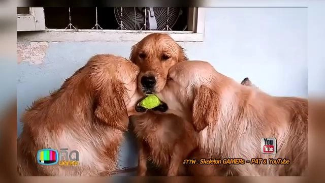 ประเด็นข่าว (21 ม.ค. 59)