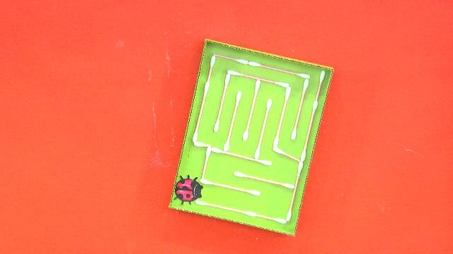 เกมเขาวงกต