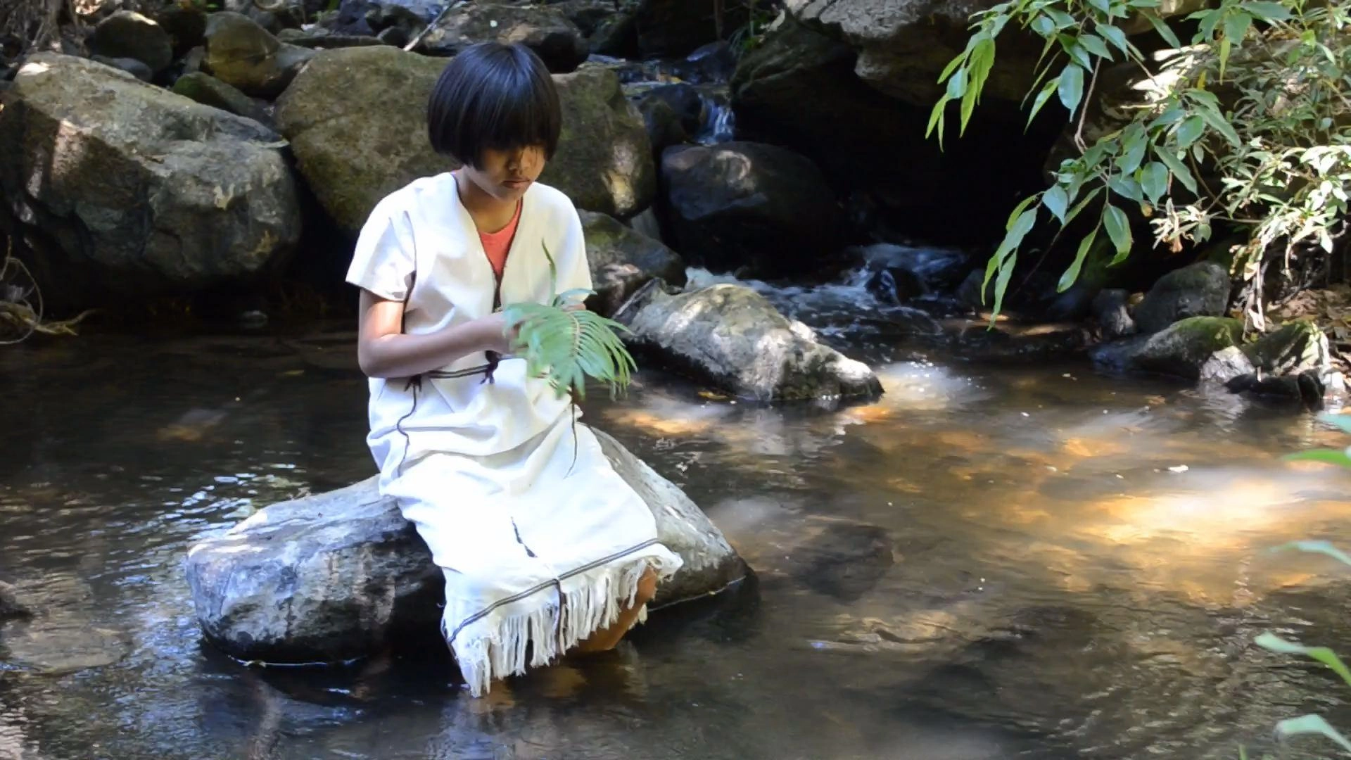 เฟินกับปกาเกอะญอ