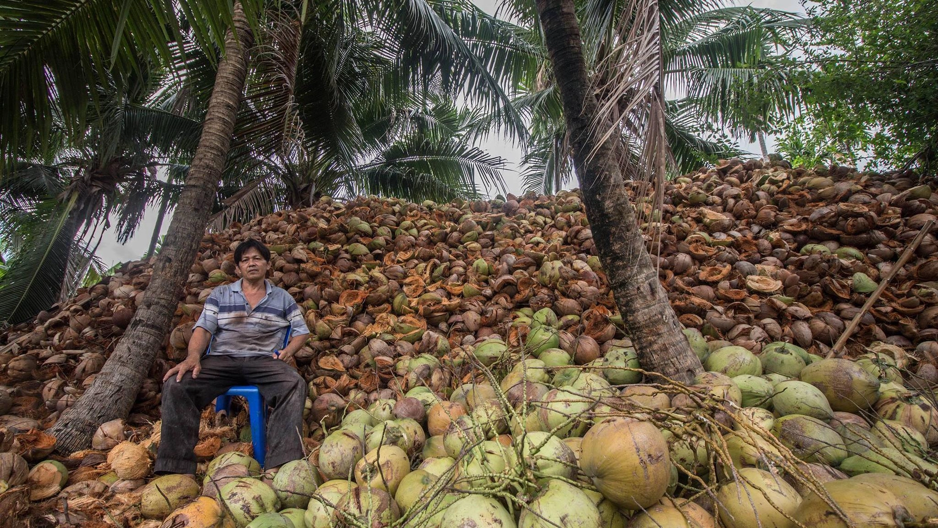 สายคลองบางประทุน
