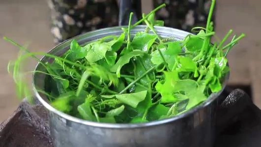 เกษตรบำบัด