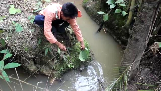 ลาหู่ : เป็นอยู่คือ