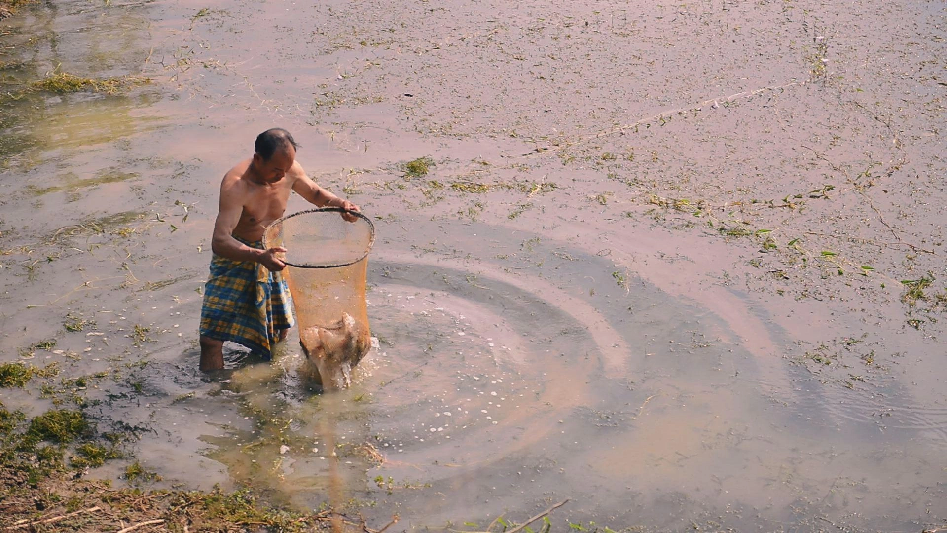 ข้าวปลาและนามูล