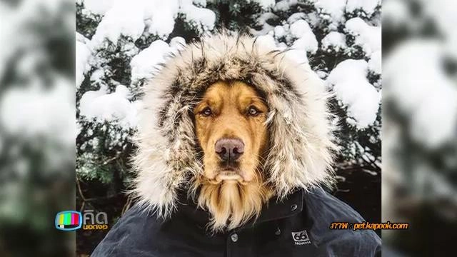 ประเด็นข่าว (25 ม.ค. 59)