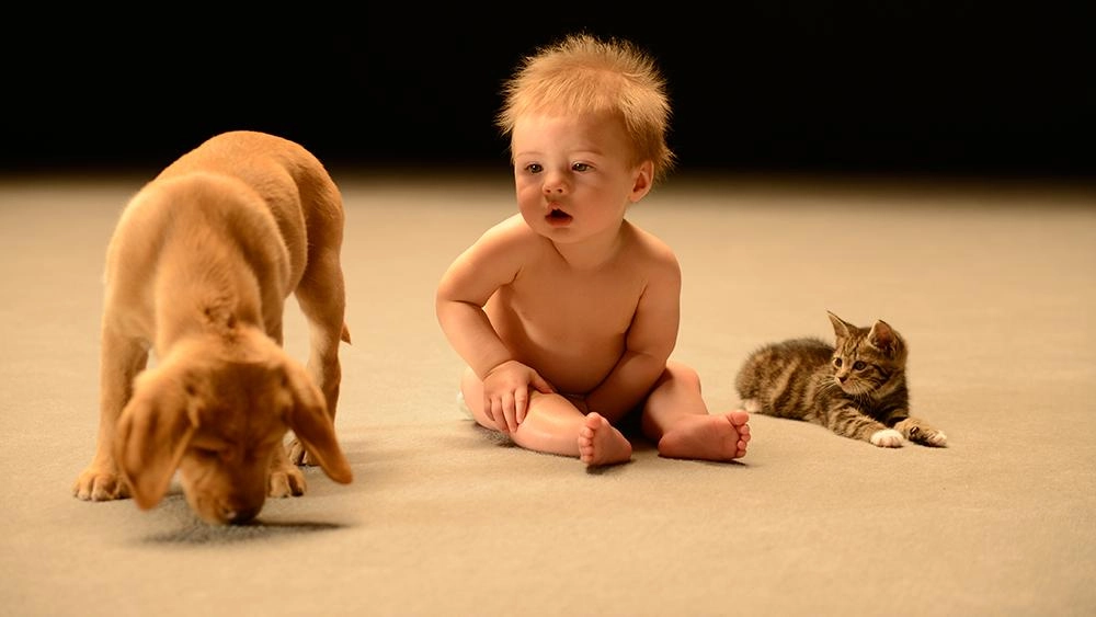 มหัศจรรย์ความลับของทารก