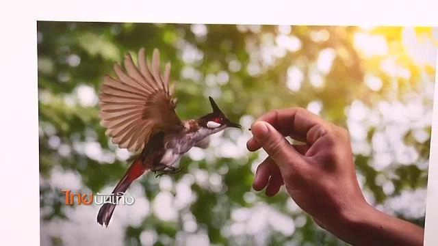 ประเด็นข่าว (27 ก.ค. 58)