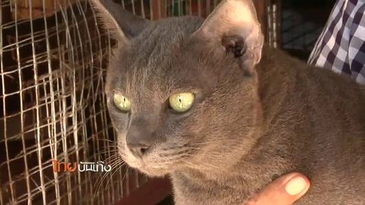 ประเด็นข่าว (18ส.ค. 58)