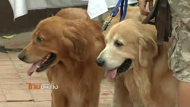 ประเด็นข่าว (31 ส.ค. 58)