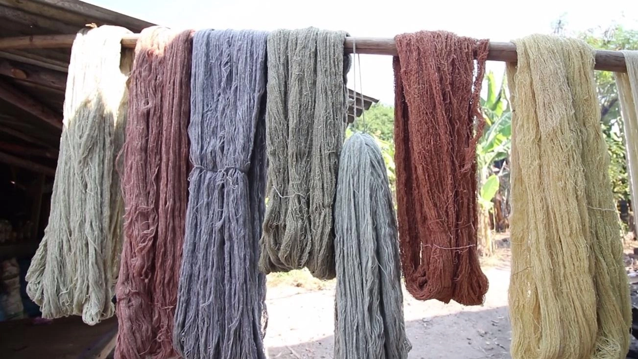 ปอยฝ้ายฝั่งโขง