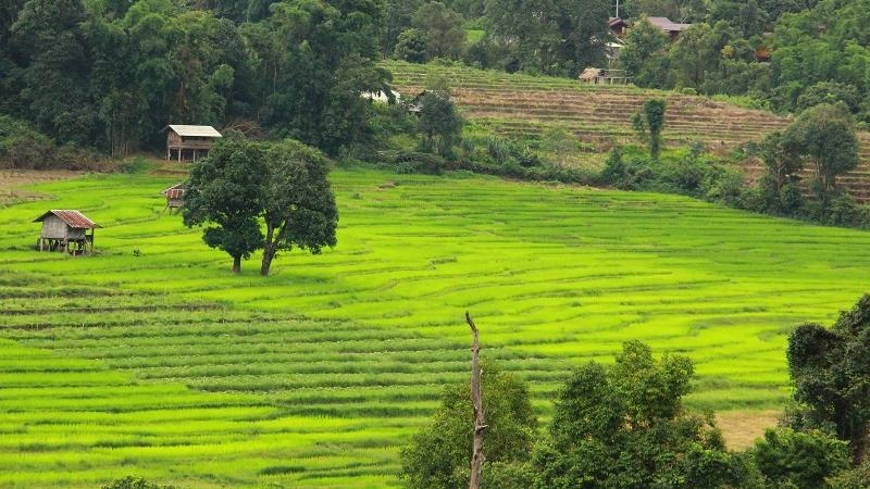 วิถีสุข วิถีถิ่น บ้านแม่กลางหลวง จ.เชียงใหม่