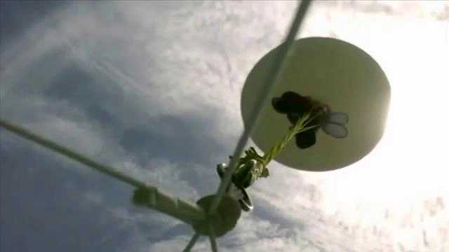 ประเด็นข่าว (27 ม.ค. 59)