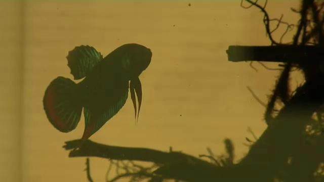 ประเด็นข่าว (8 ต.ค. 58)