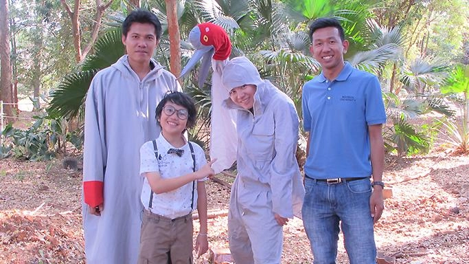 นกกระเรียนไทย