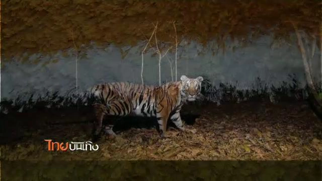 ประเด็นข่าว (16 ต.ค. 58)