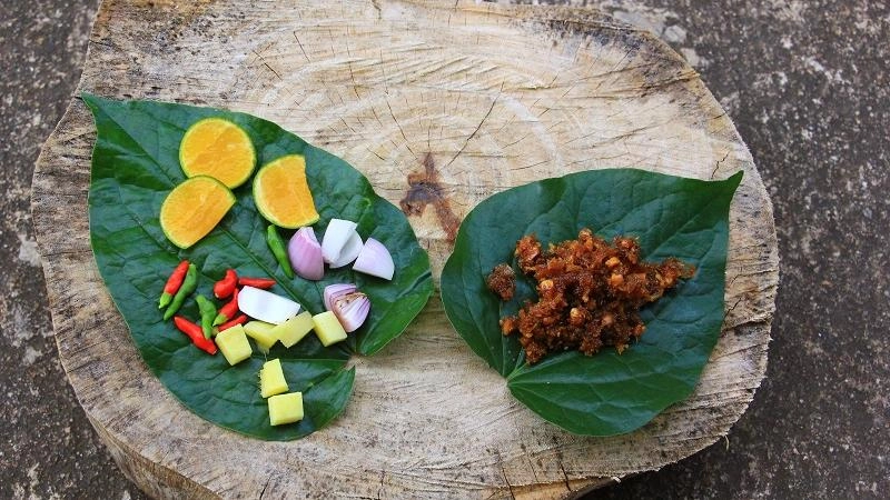 รักษ์ด้วยหัวใจ ใช้ธรรมชาติบำบัด หาดทรายดำ จ.ตราด