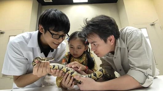 สัมผัสใกล้อสรพิษ