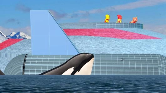 ดูวาฬอพยพ