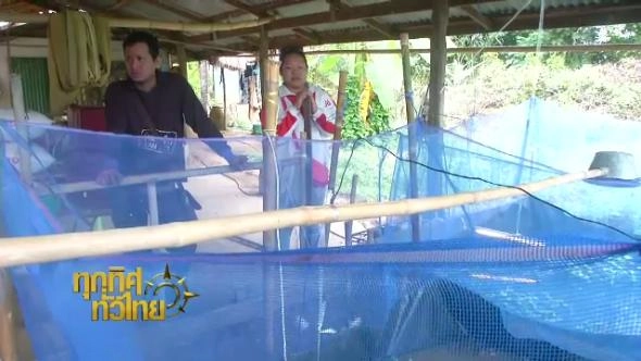 ทุกทิศทั่วไทย