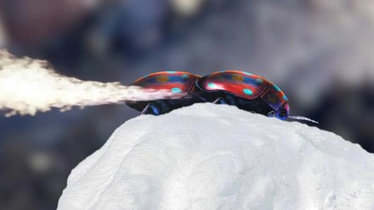 แมลงผายลมหนีหนาว