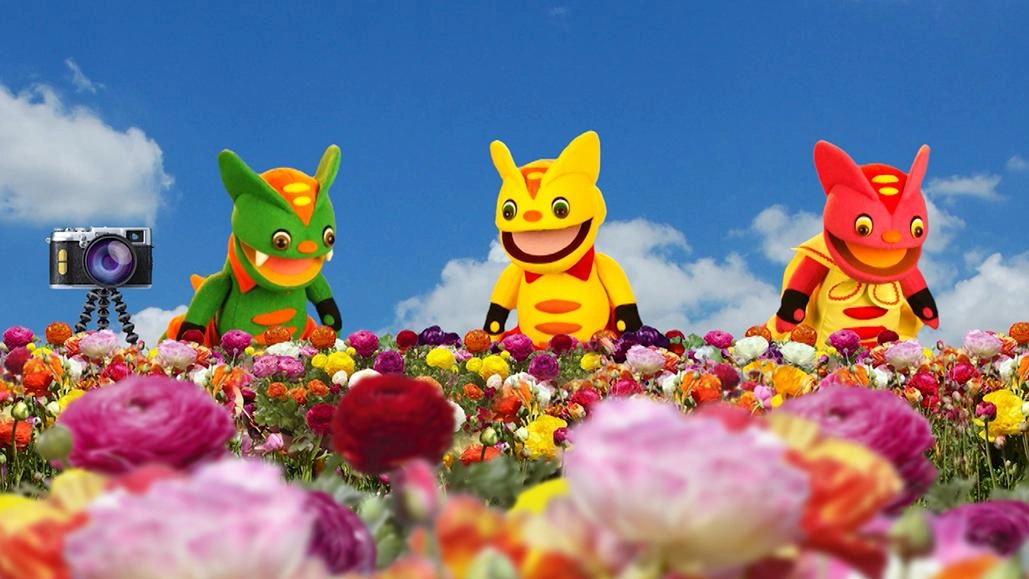 ดอกบ้าจี้