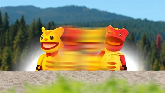 หินสลับร่าง