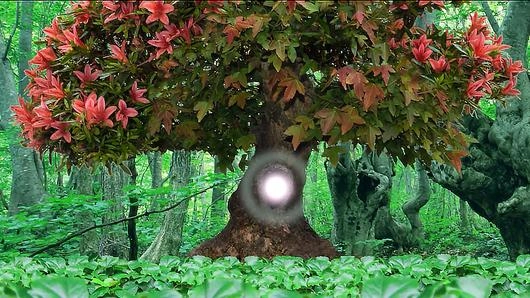 ต้นไม้จอมตะกละ