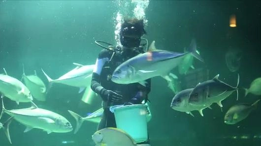 เรียนรู้...โลกใต้น้ำ